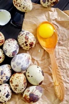 Quail eggs Stock Photos