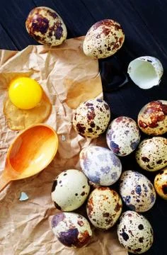 Quail eggs Stock Photos