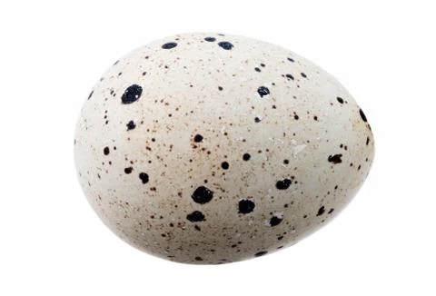 Quail eggs Stock Photos