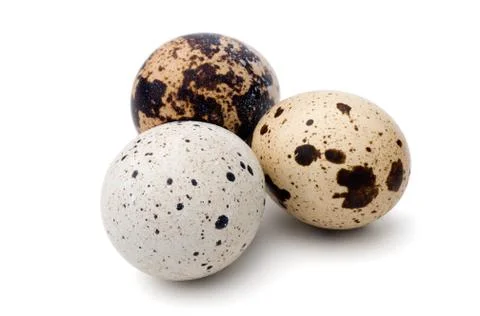 Quail eggs Stock Photos