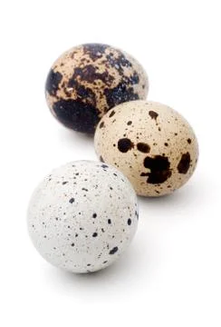 Quail eggs Stock Photos
