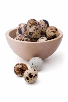 Quail eggs Stock Photos