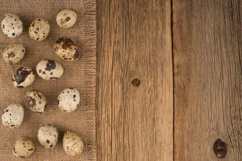Quail eggs Stock Photos