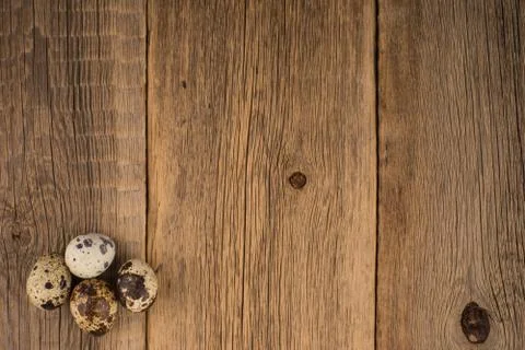 Quail eggs 스톡 사진