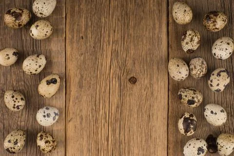 Quail eggs 스톡 사진