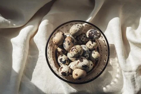 Quail eggs Stock Photos