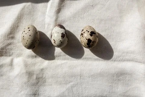Quail eggs Stock Photos
