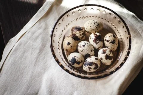 Quail eggs Stock Photos