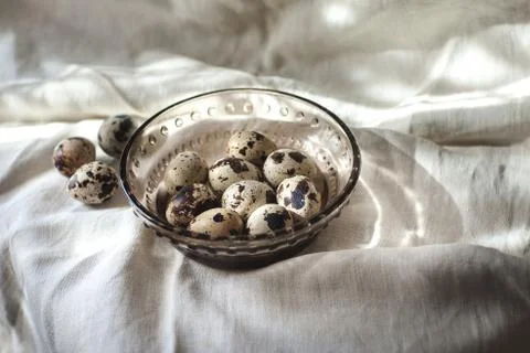 Quail eggs Stock Photos