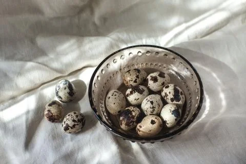 Quail eggs Stock Photos