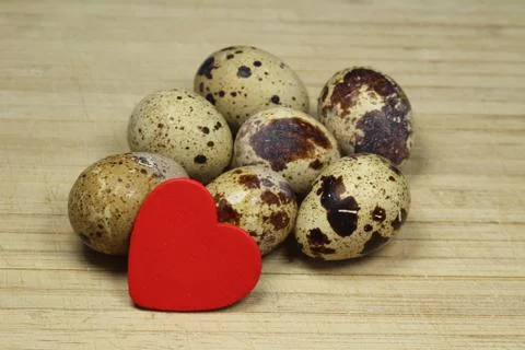 Quail eggs Stock Photos