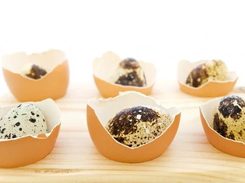 Quail Eggs Stock Photos
