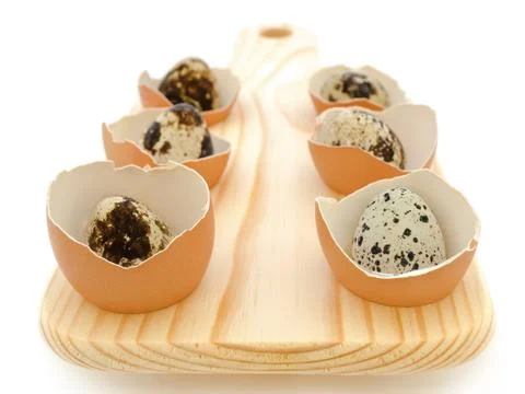 Quail Eggs Stock Photos