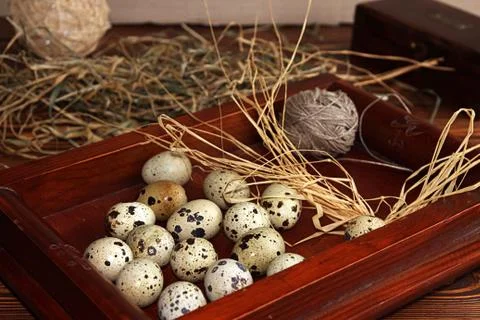 Quail eggs Stock Photos