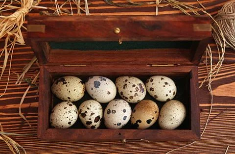 Quail eggs Stock Photos