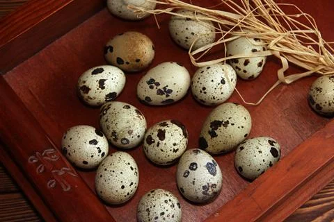 Quail eggs Stock Photos