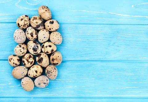 Quail eggs Stock Photos
