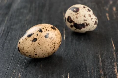 Quail eggs Stock Photos