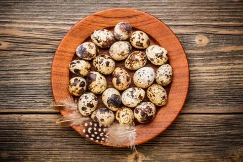 Quail eggs Stock Photos