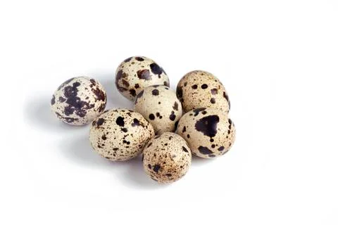 Quail eggs Stock Photos