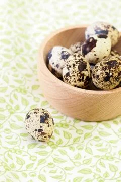Quail eggs Stock Photos