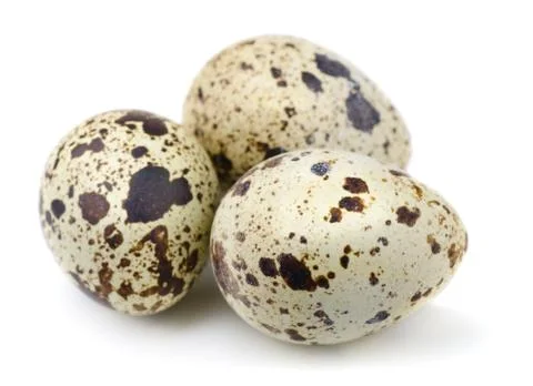 Quail eggs Stock Photos