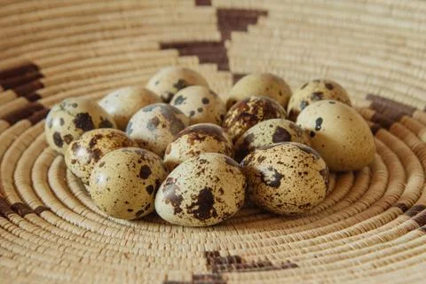 Quail Eggs Stock Photos