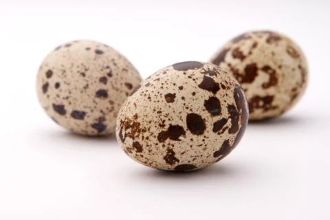 Quail eggs Stock Photos