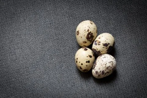 Quail eggs Stock Photos