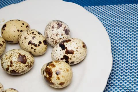 Quail eggs Stock Photos