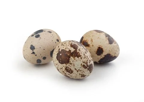 Quail eggs Stock Photos