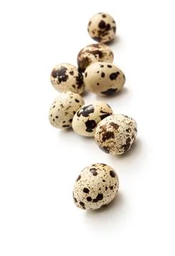 Quail eggs Stock Photos