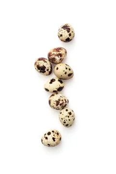 Quail eggs Stock Photos
