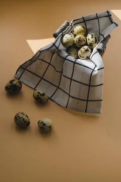 Quail eggs Stock Photos