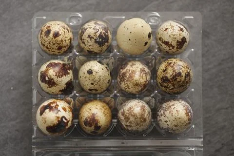 Quail eggs Stock Photos