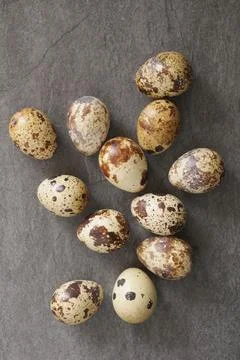 Quail eggs Stock Photos