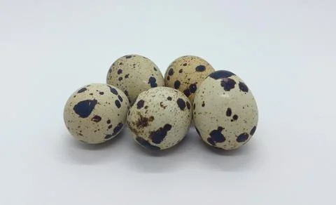 Quail Eggs Stock Photos