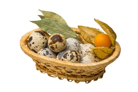 Quail eggs Stock Photos