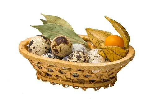 Quail eggs Stock Photos