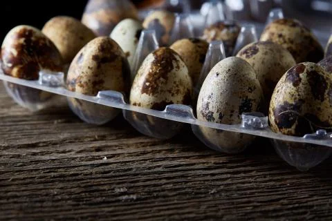 Quail eggs in a plastic container on a dark wooden background, top view Stock Photos