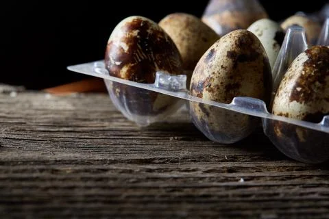 Quail eggs in a plastic container on a dark wooden background, top view Stock Photos