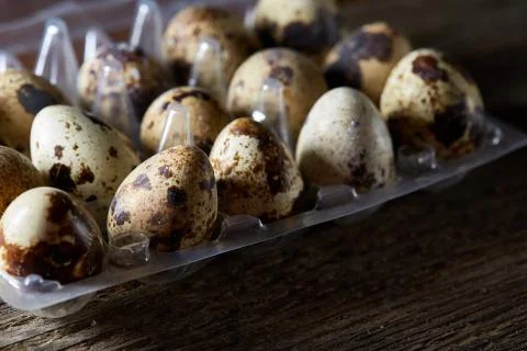 Quail eggs in a plastic container on a dark wooden background, top view Stock Photos