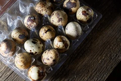 Quail eggs in a plastic container on a dark wooden background, top view Stock Photos
