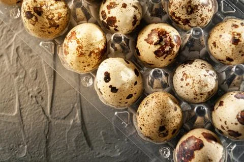Quail eggs in a plastic container on a gray background. Top view Photos