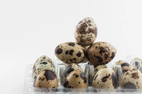 Quail Eggs in Plastic Packaging on White Background Foto stock
