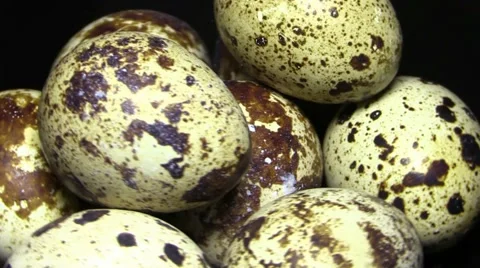 Quail eggs on a plate close up rotation Stock Footage 60374095