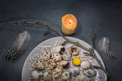 Quail eggs on a plate Stock Photos
