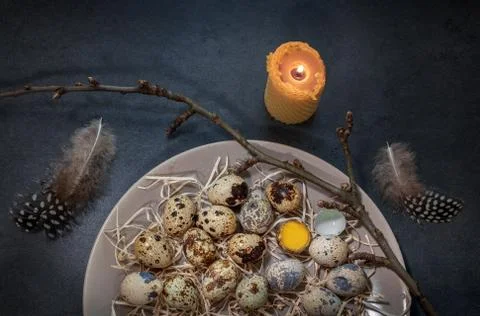 Quail eggs on a plate Stock Photos