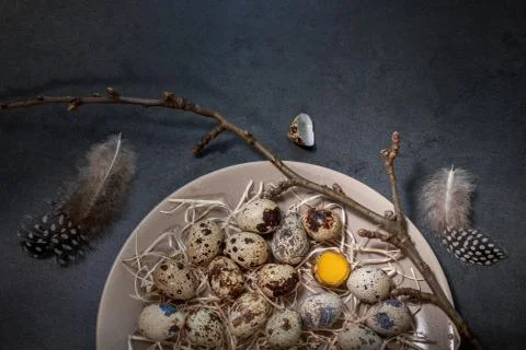 Quail eggs on a plate Stock Photos