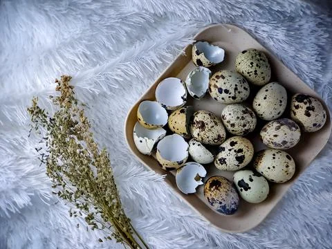 Quail eggs from quail, a collection of quail eggs on a wooden plate with a .. Stock Photos